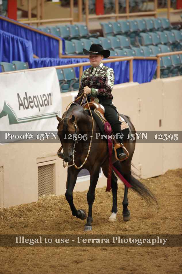 Proof 15YN_12595