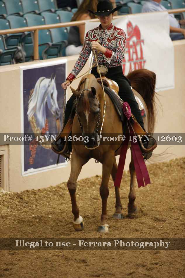 Proof 15YN_12603