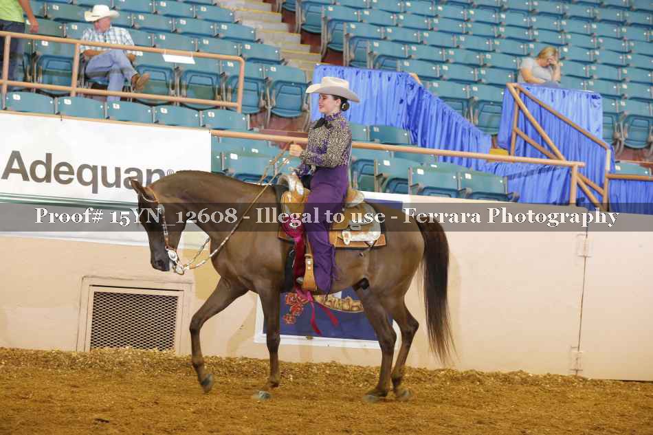 Proof 15YN_12608