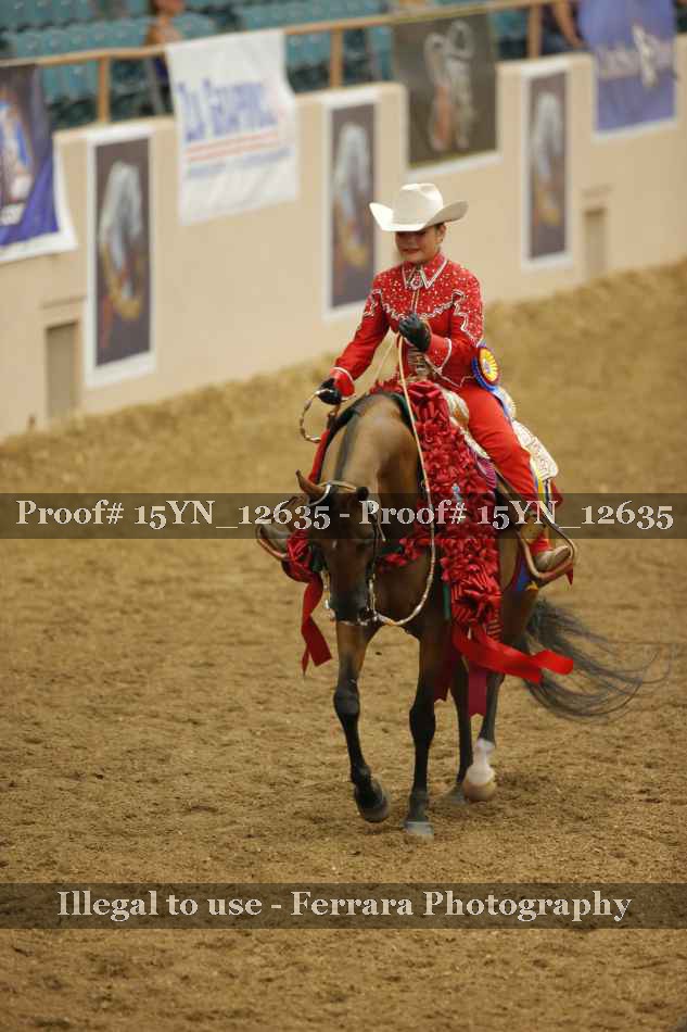 Proof 15YN_12635
