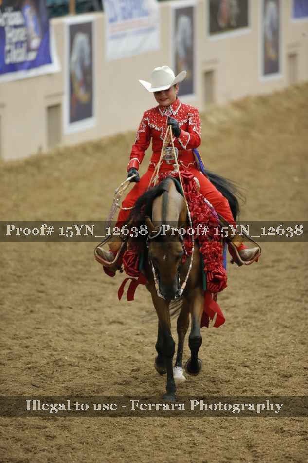 Proof 15YN_12638