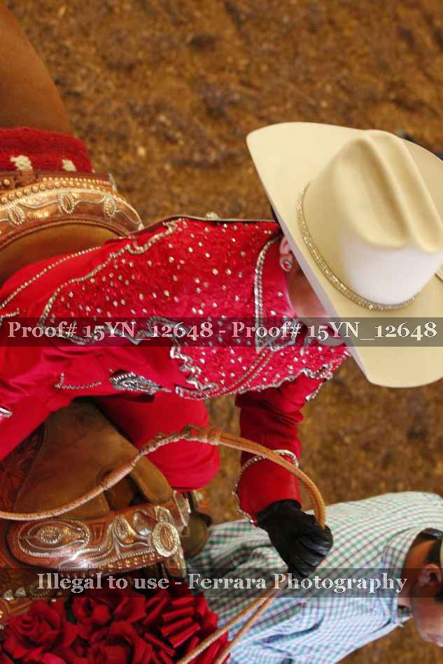 Proof 15YN_12648