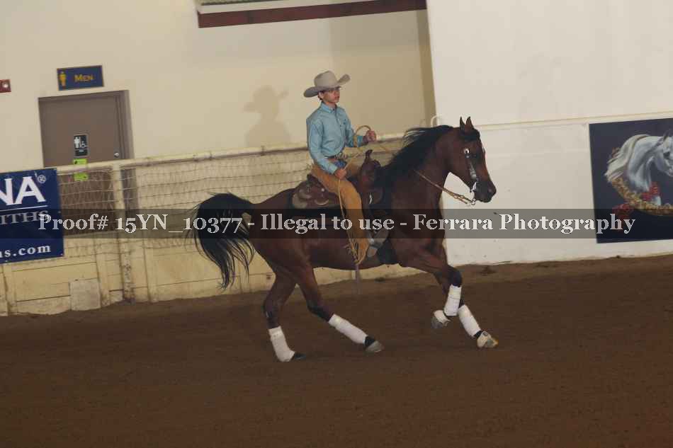 Proof 15YN_10377