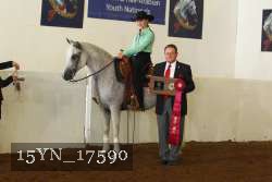 15YN_17590 proof