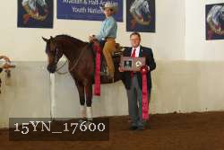 15YN_17600 proof