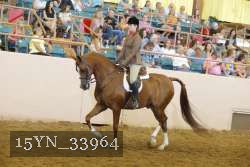 15YN_33964 proof