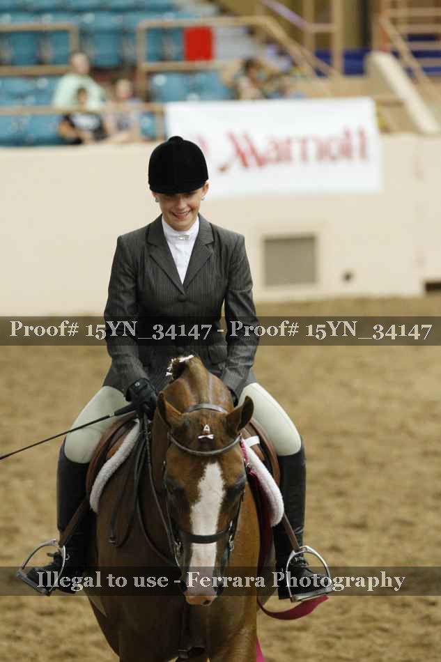 Proof 15YN_34147