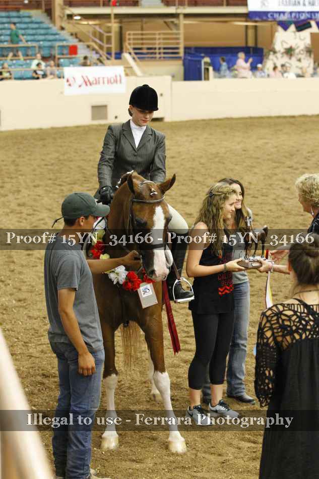 Proof 15YN_34166