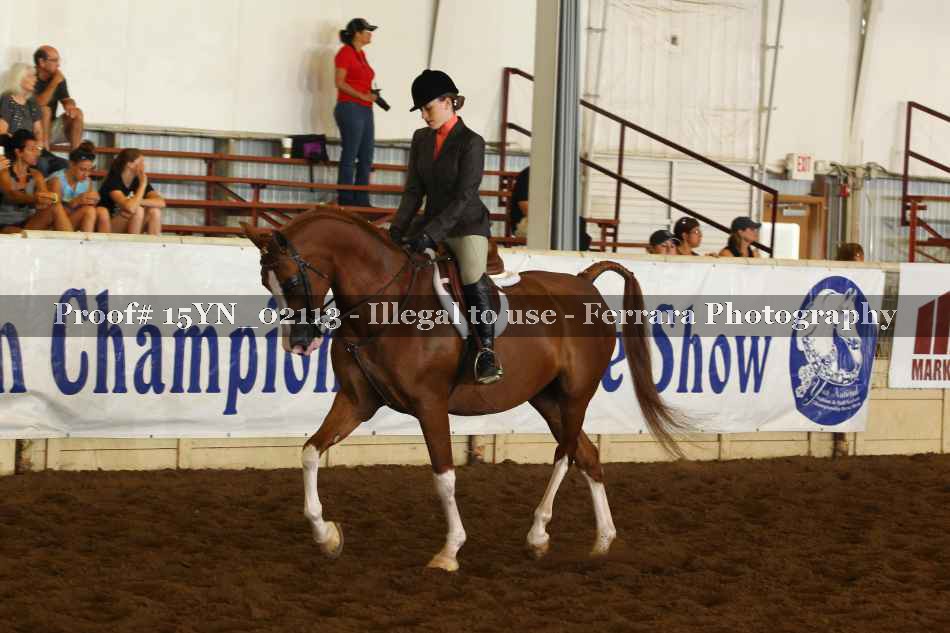 Proof 15YN_02113