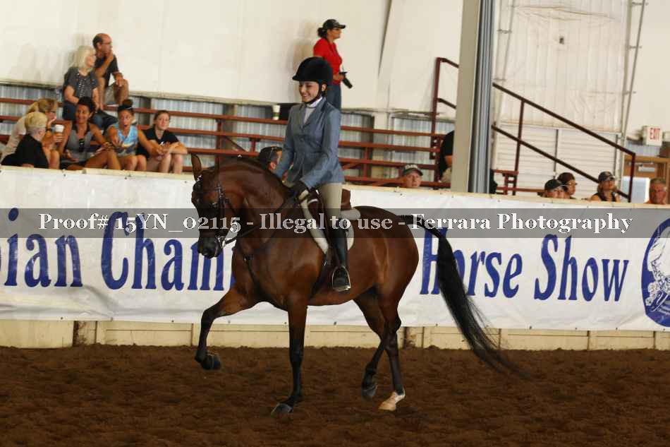 Proof 15YN_02115