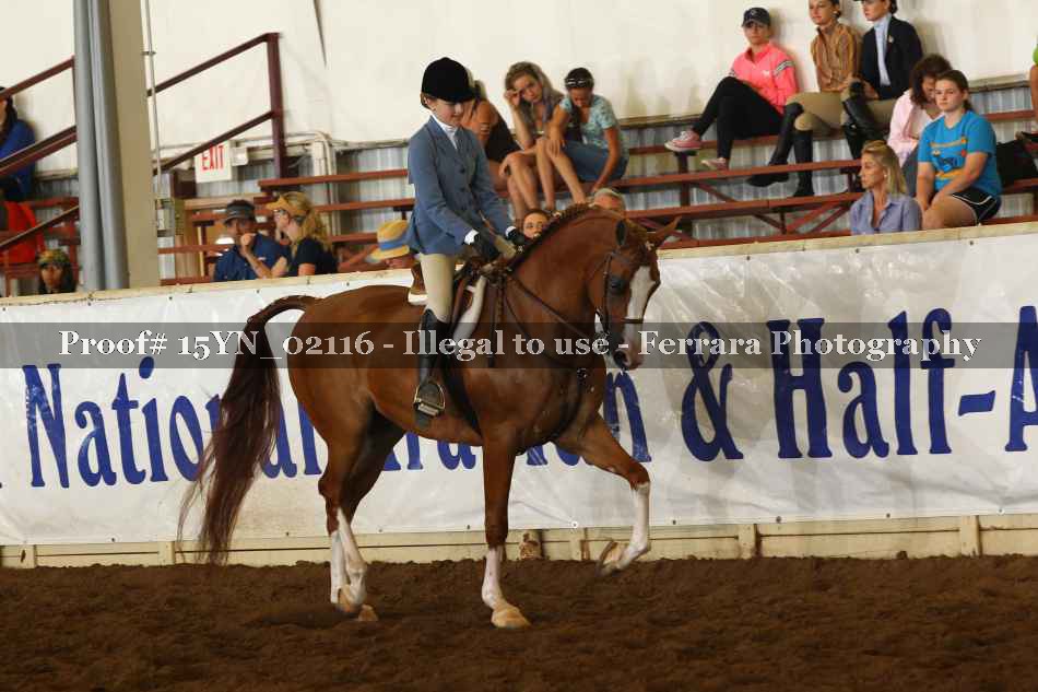 Proof 15YN_02116