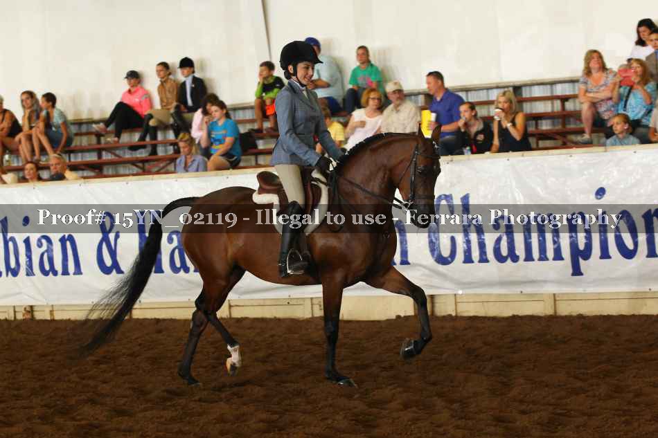 Proof 15YN_02119