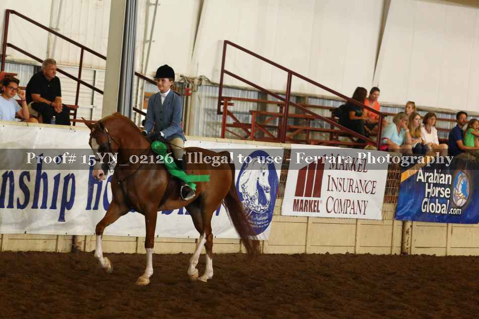 Proof 15YN_02126