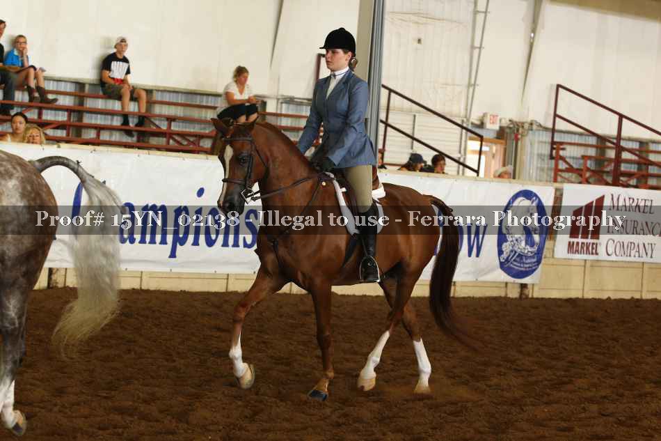Proof 15YN_02138
