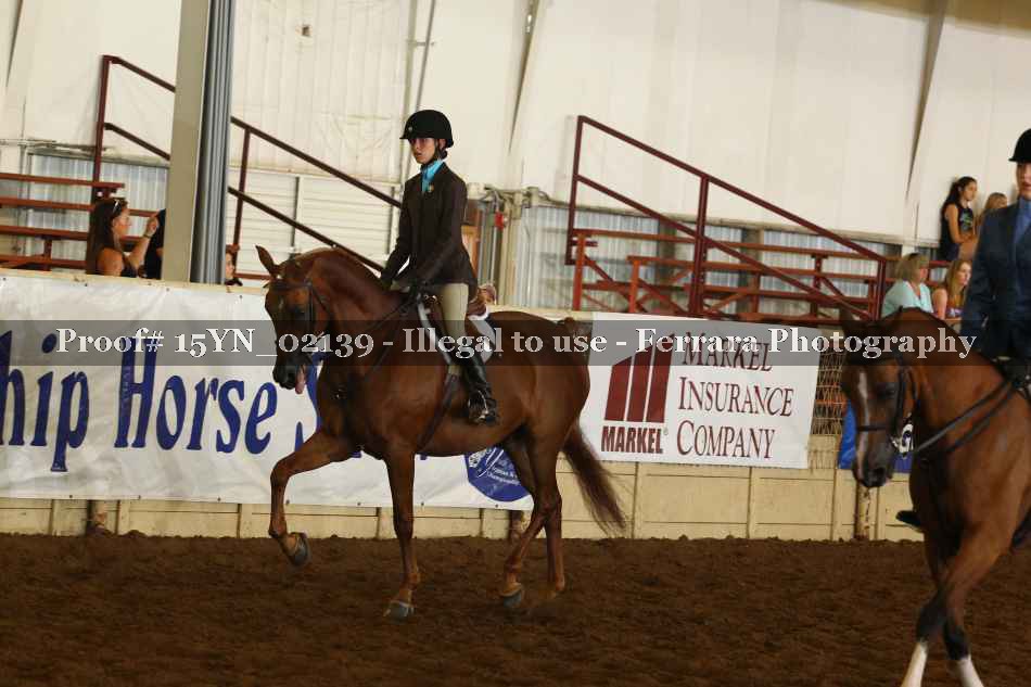 Proof 15YN_02139