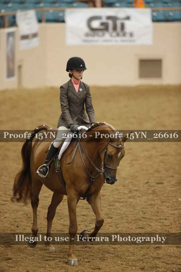 Proof 15YN_26616