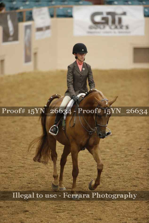 Proof 15YN_26634