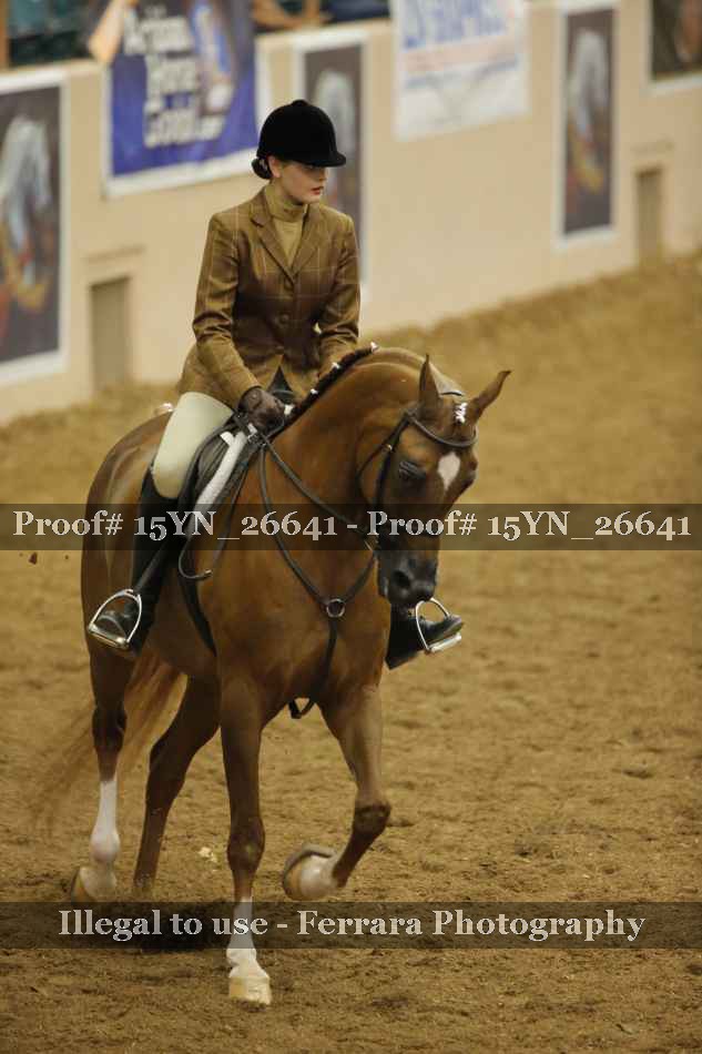 Proof 15YN_26641