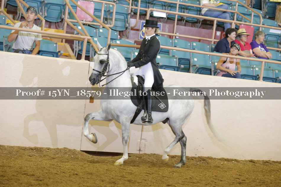 Proof 15YN_18579