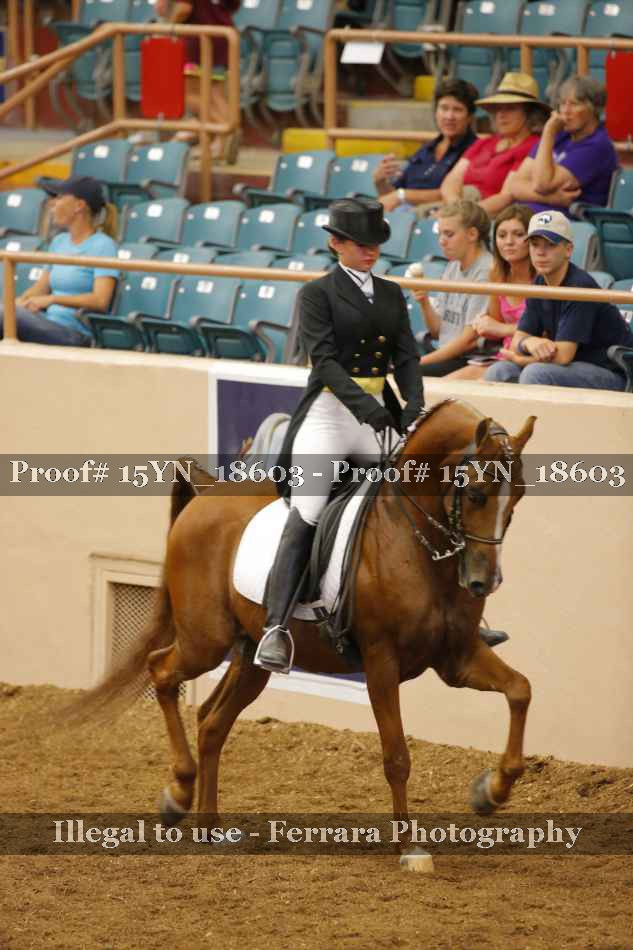 Proof 15YN_18603