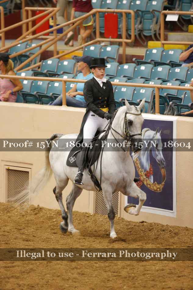 Proof 15YN_18604