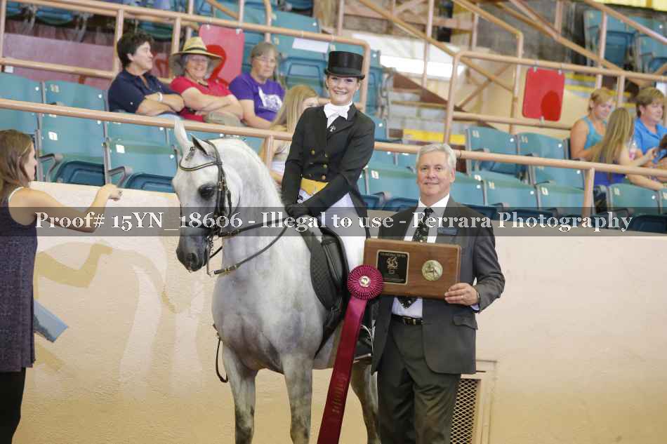 Proof 15YN_18606