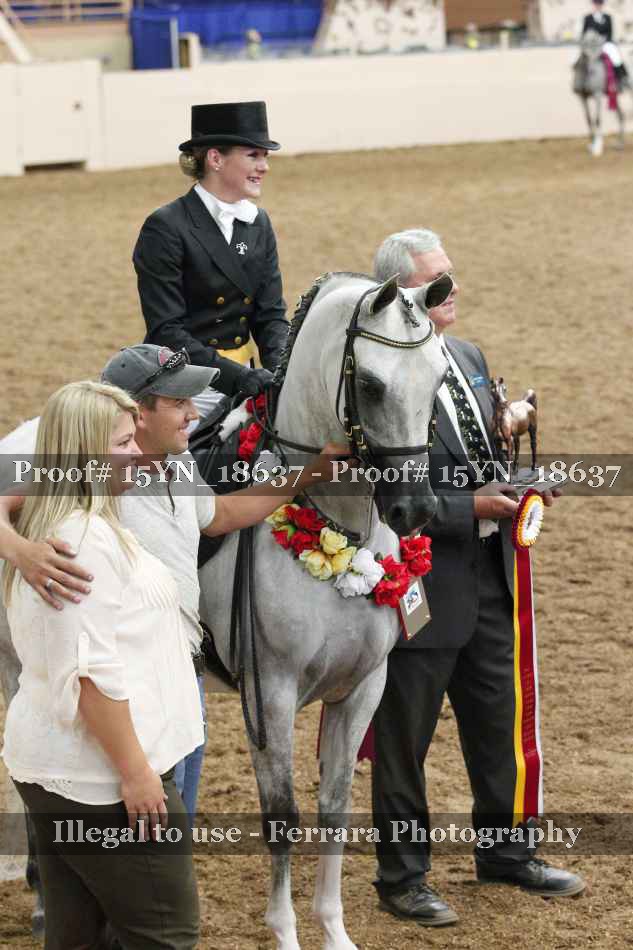 Proof 15YN_18637