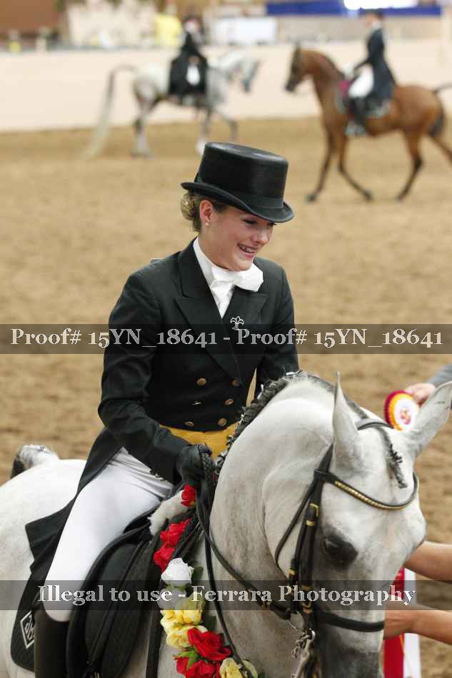 Proof 15YN_18641