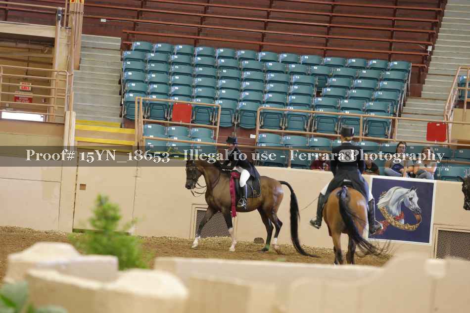 Proof 15YN_18653