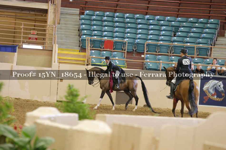 Proof 15YN_18654