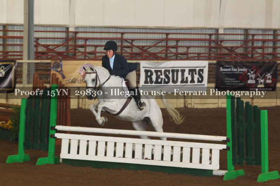 Proof 15YN_29830