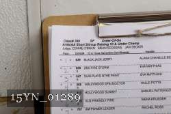 15YN_01289 proof