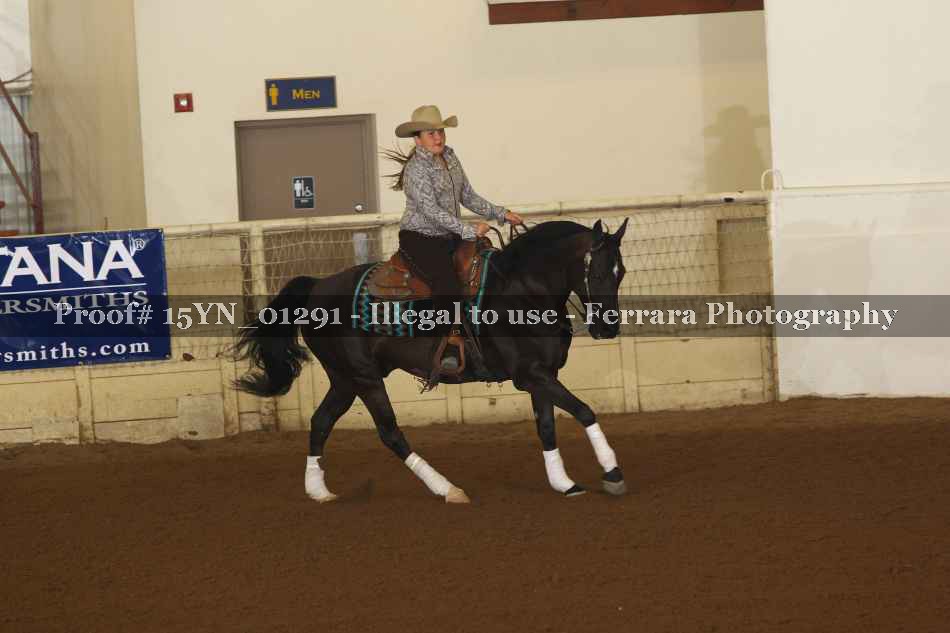 Proof 15YN_01291