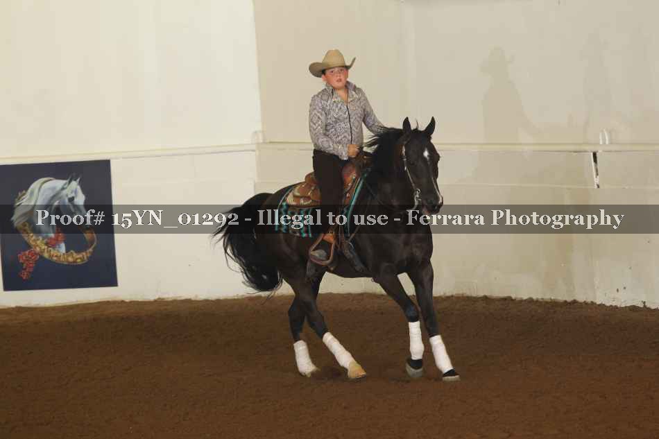 Proof 15YN_01292