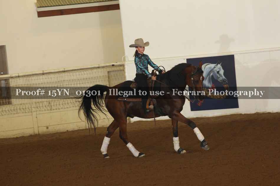 Proof 15YN_01301