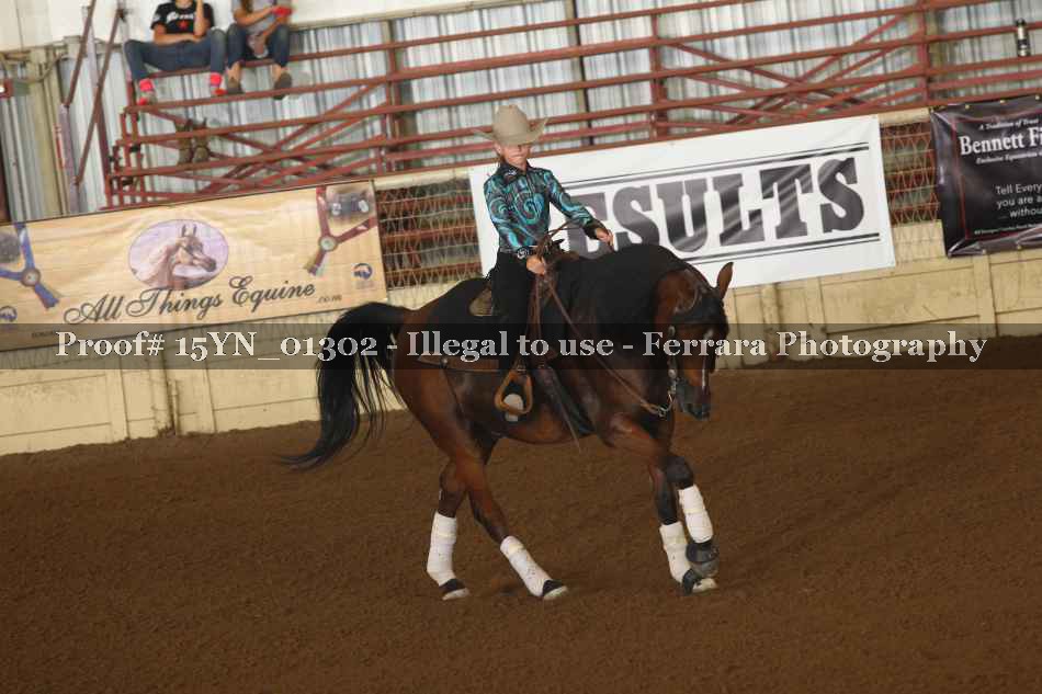 Proof 15YN_01302