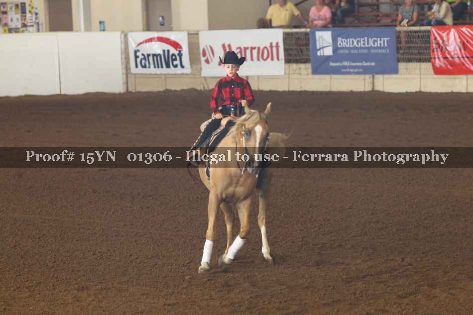Proof 15YN_01306