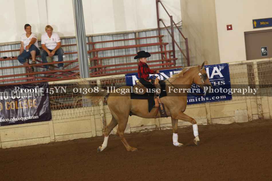 Proof 15YN_01308