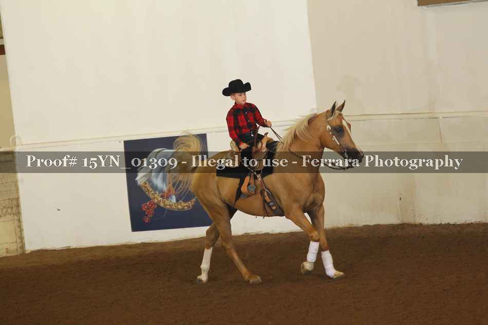 Proof 15YN_01309