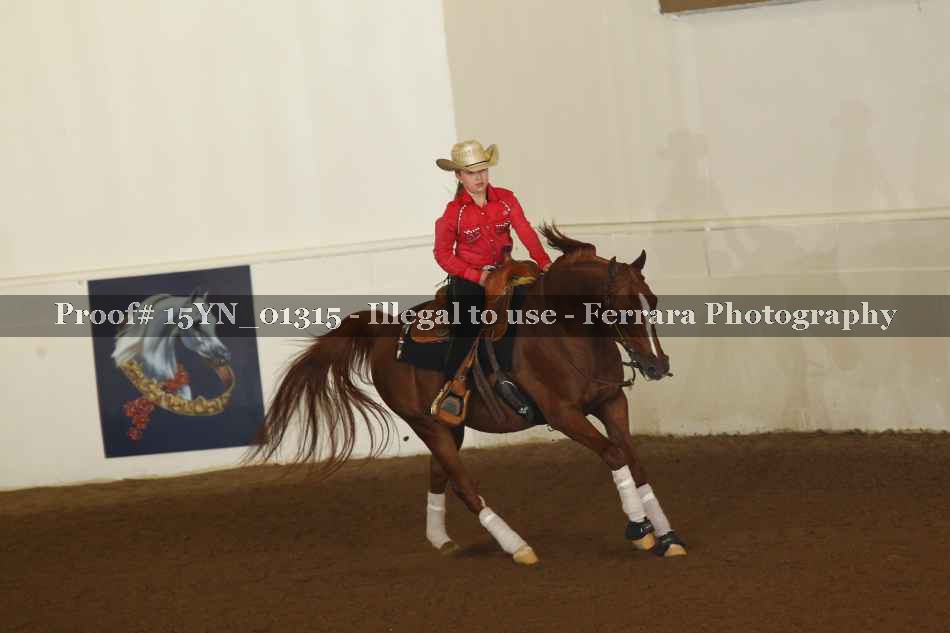 Proof 15YN_01315