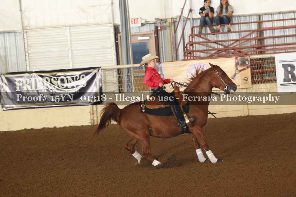 Proof 15YN_01318