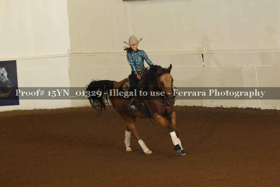 Proof 15YN_01329