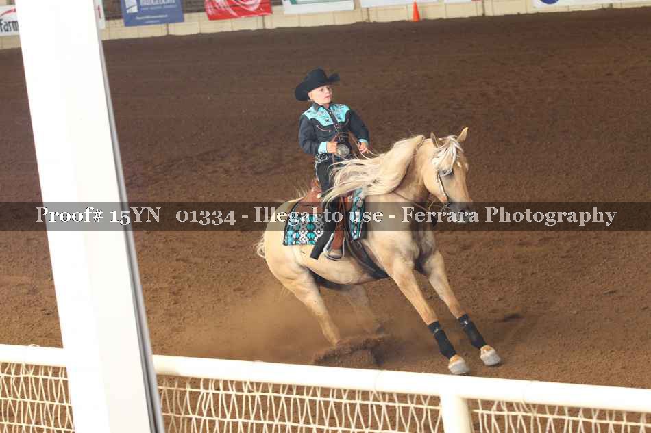 Proof 15YN_01334