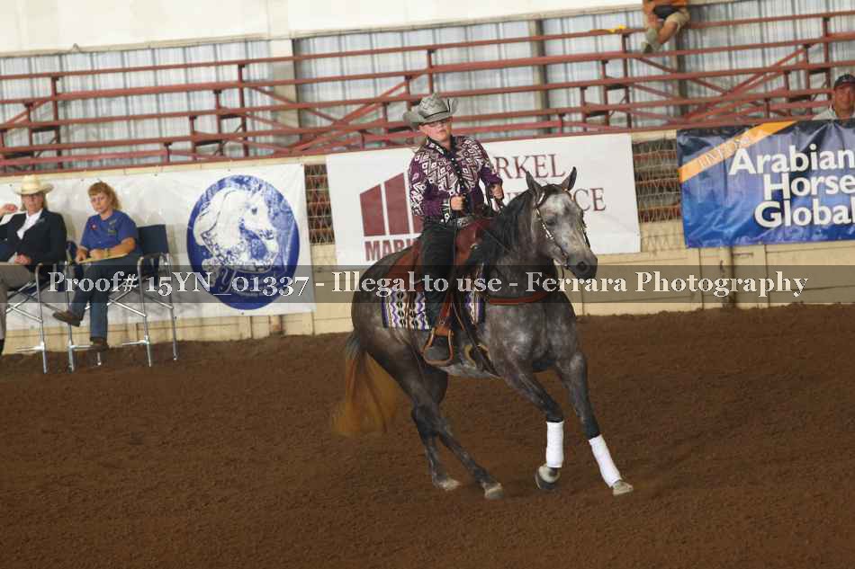 Proof 15YN_01337