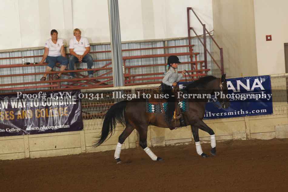 Proof 15YN_01341