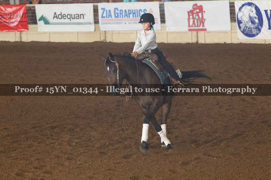 Proof 15YN_01344
