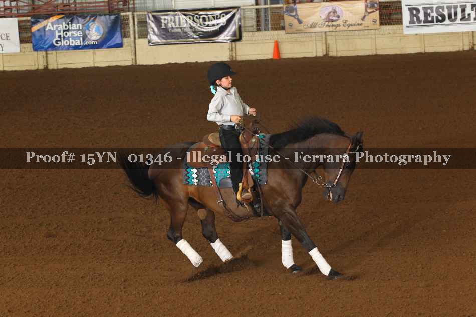 Proof 15YN_01346