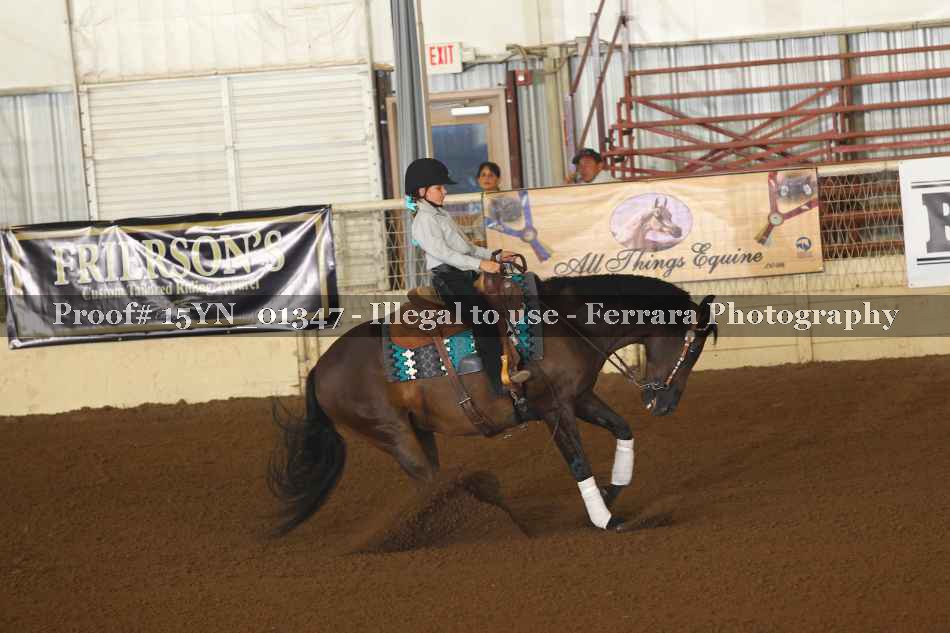 Proof 15YN_01347