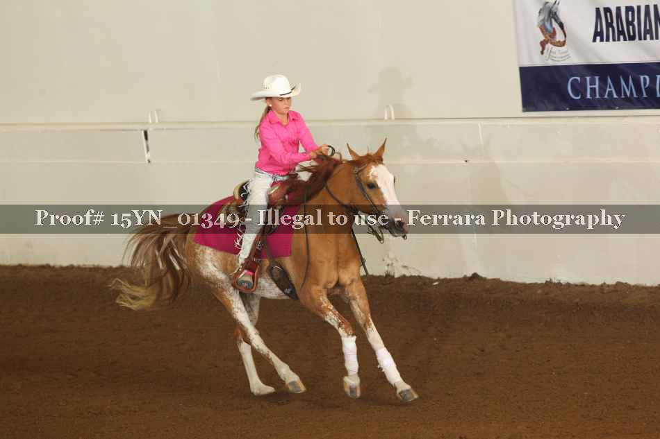 Proof 15YN_01349