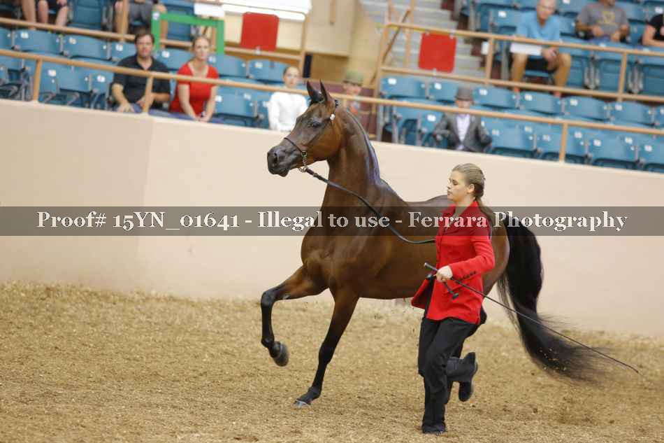 Proof 15YN_01641